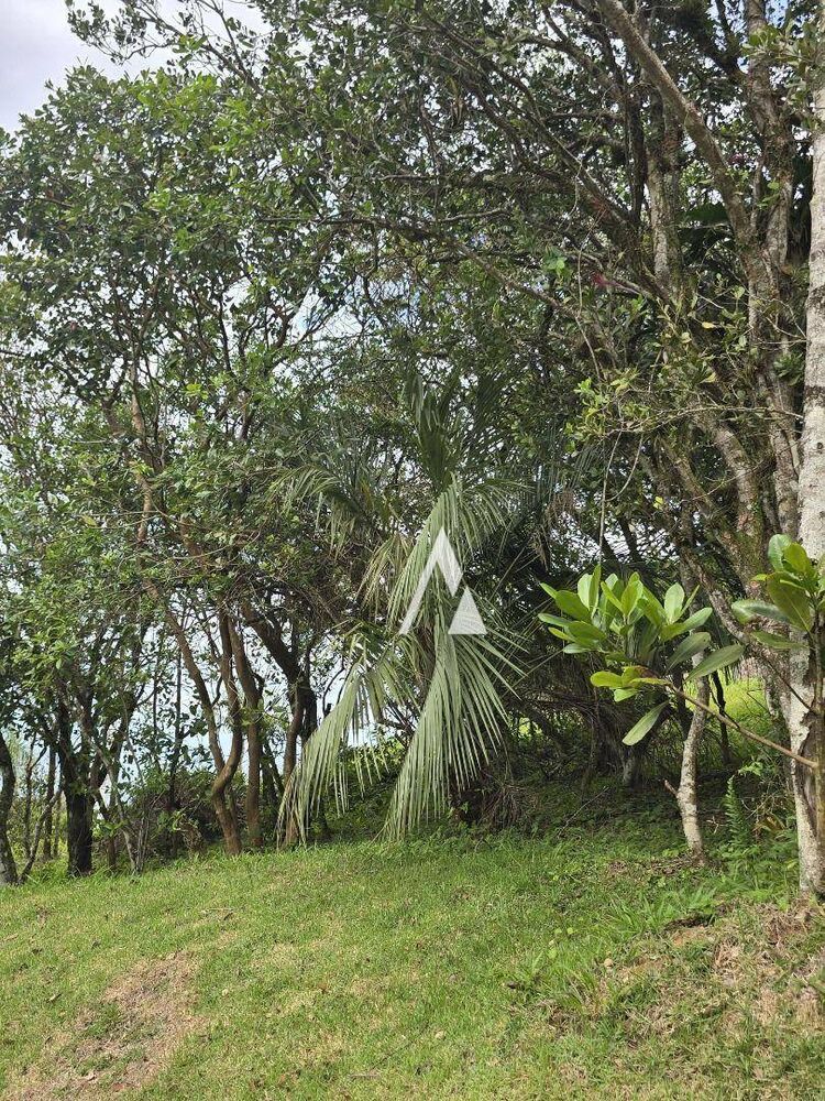 Loteamento e Condomínio, 2000 m² - Foto 3