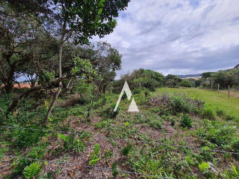 Terreno, 4025 m² - Foto 3