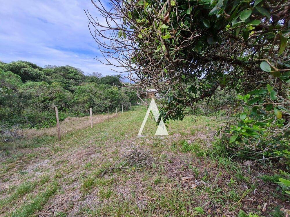 Terreno, 4025 m² - Foto 5