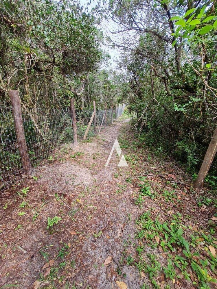 Terreno, 4025 m² - Foto 6