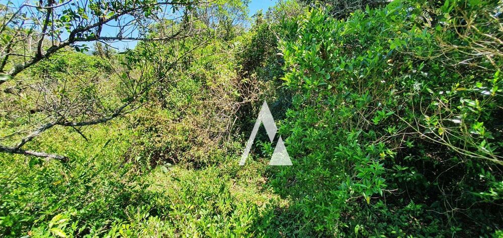 Loteamento e Condomínio, 1 hectares - Foto 13