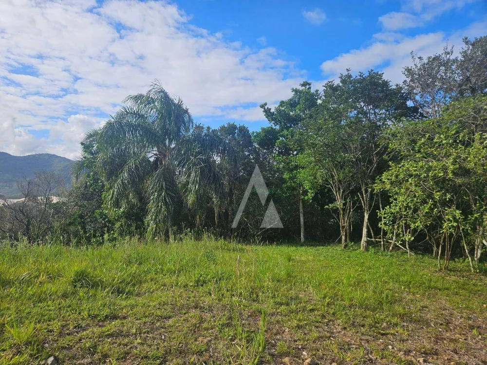 Loteamento e Condomínio, 2000 m² - Foto 2