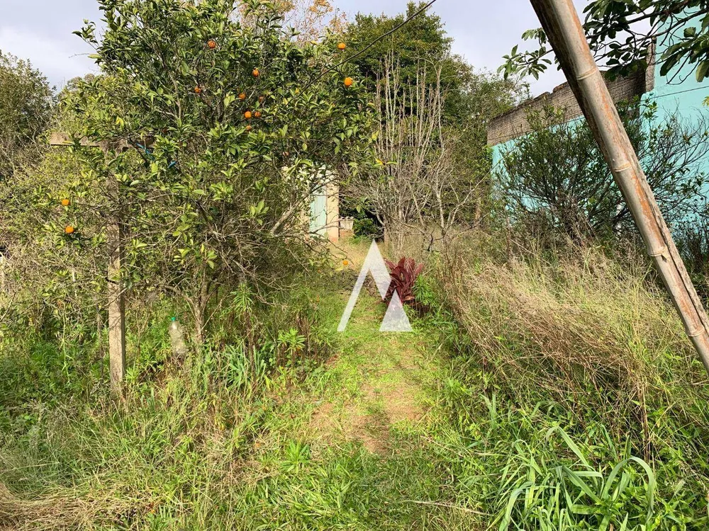 Terreno, 1452 m² - Foto 6
