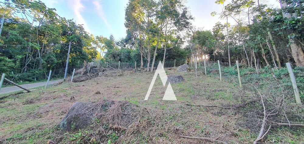 Terreno, 393 m² - Foto 4