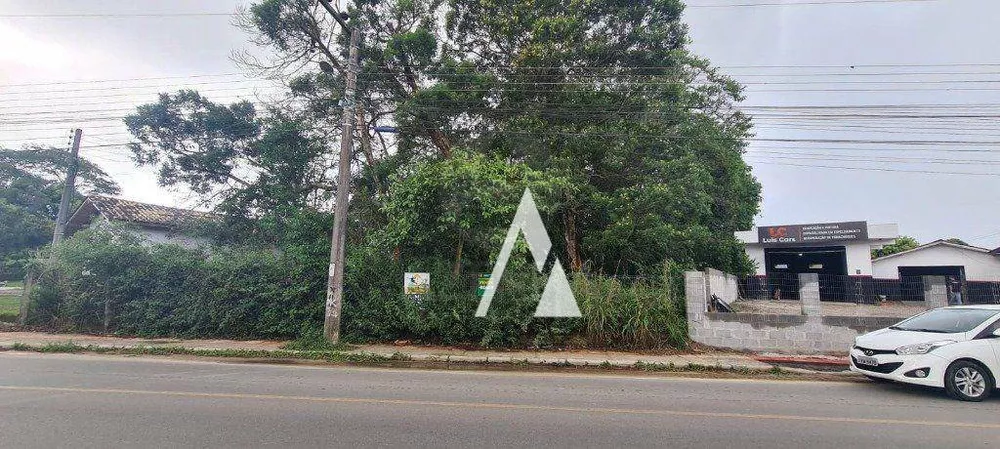 Terreno, 4900 m² - Foto 3
