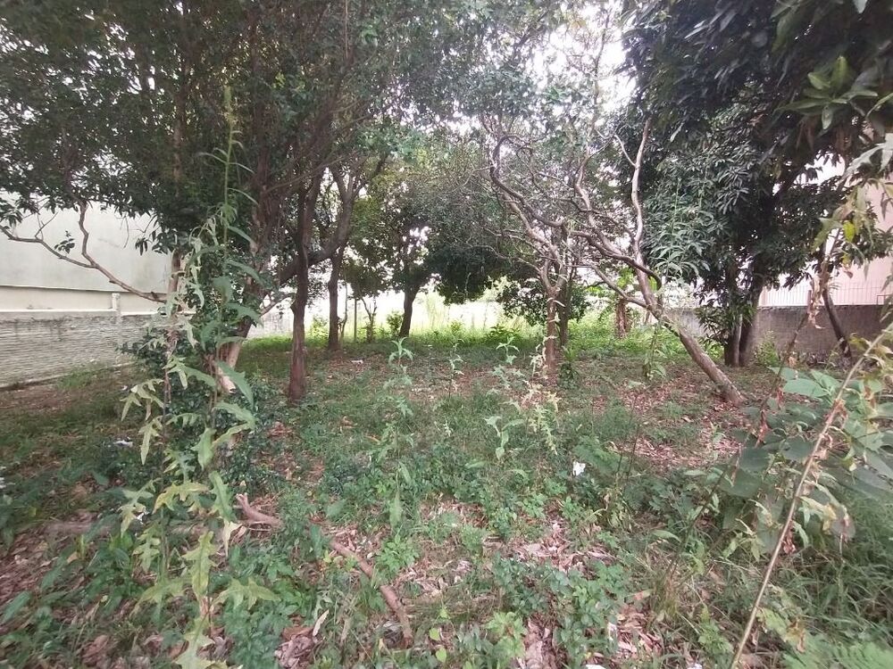 Terreno, 1618 m² - Foto 8