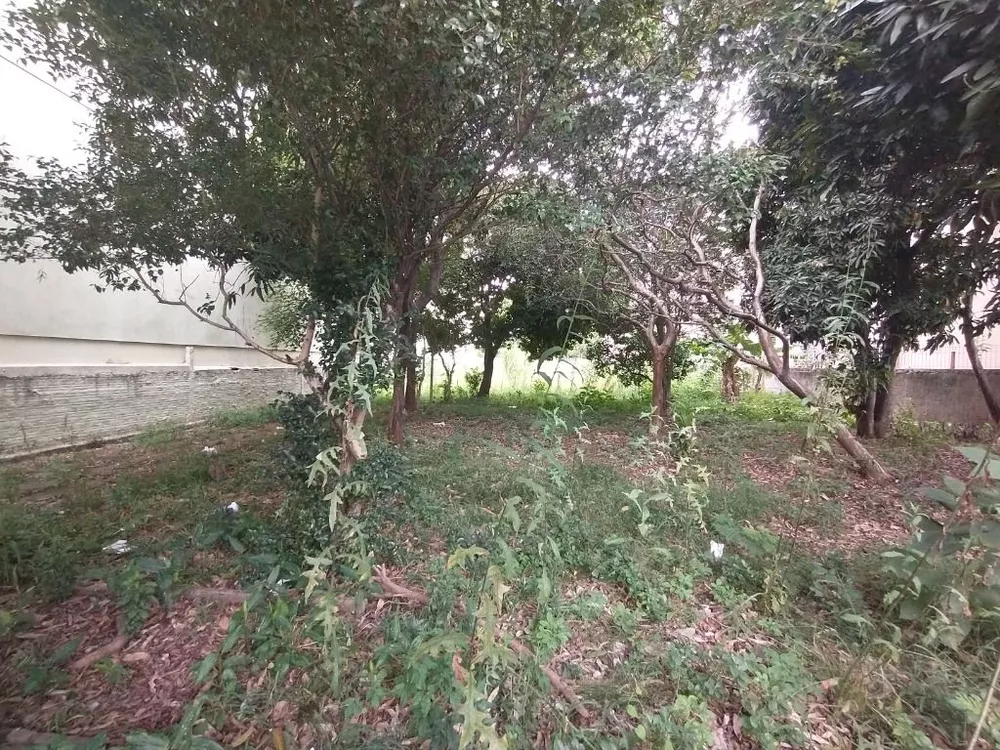 Terreno, 1618 m² - Foto 4