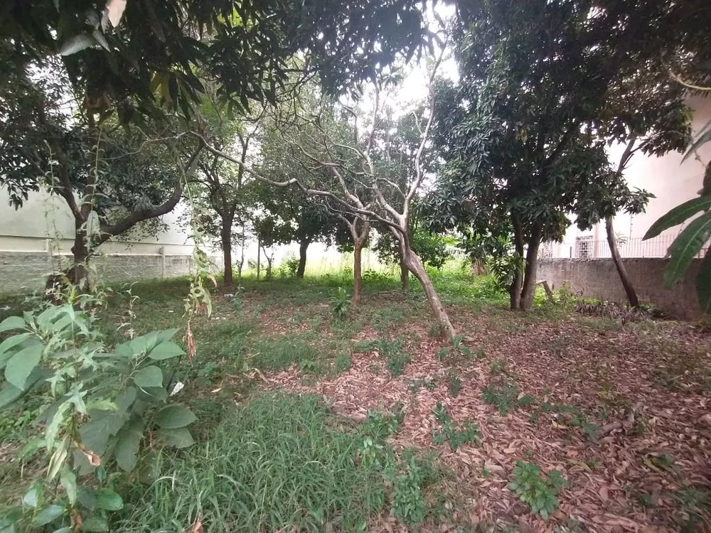 Terreno, 1618 m² - Foto 9