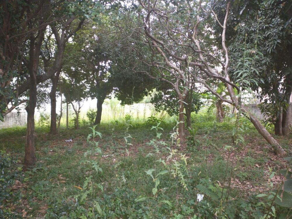 Terreno, 1618 m² - Foto 7