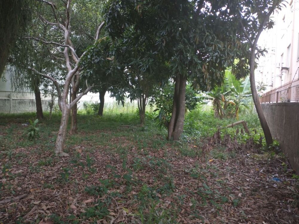 Terreno, 1618 m² - Foto 5