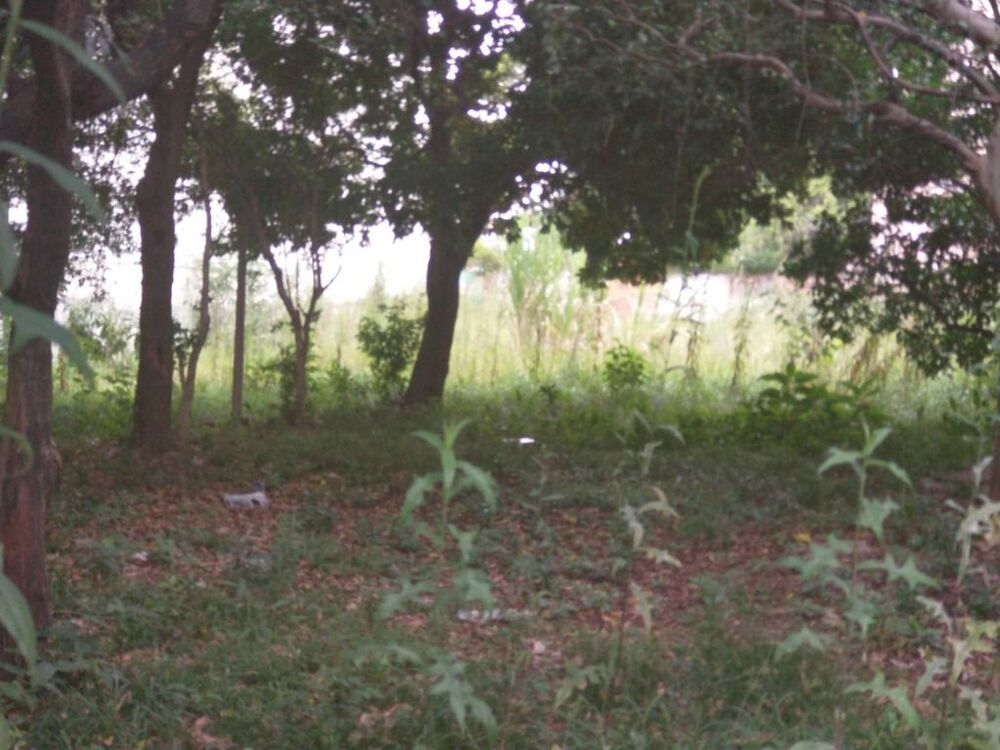 Terreno, 1618 m² - Foto 6