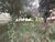 Terreno, 1618 m² - Foto 4