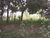 Terreno, 1618 m² - Foto 2