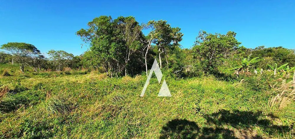 Terreno, 1580 m² - Foto 4