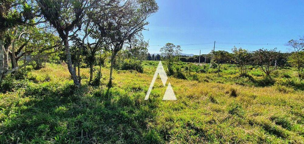 Terreno, 1580 m² - Foto 4