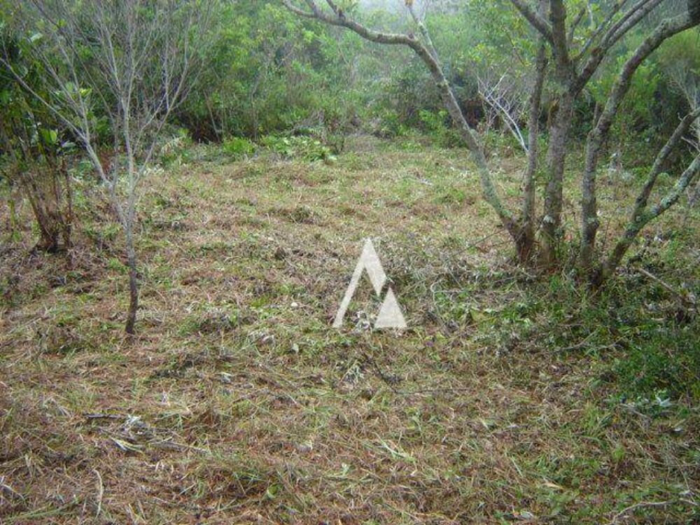 Loteamento e Condomínio, 2053 m² - Foto 5