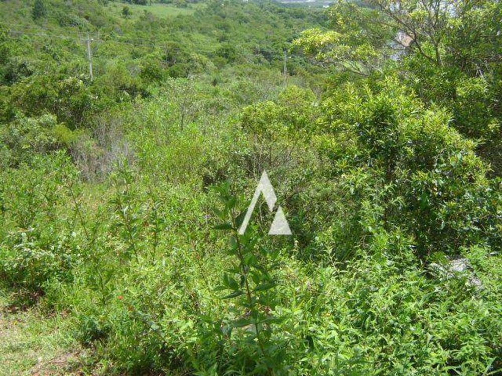 Loteamento e Condomínio, 2053 m² - Foto 4