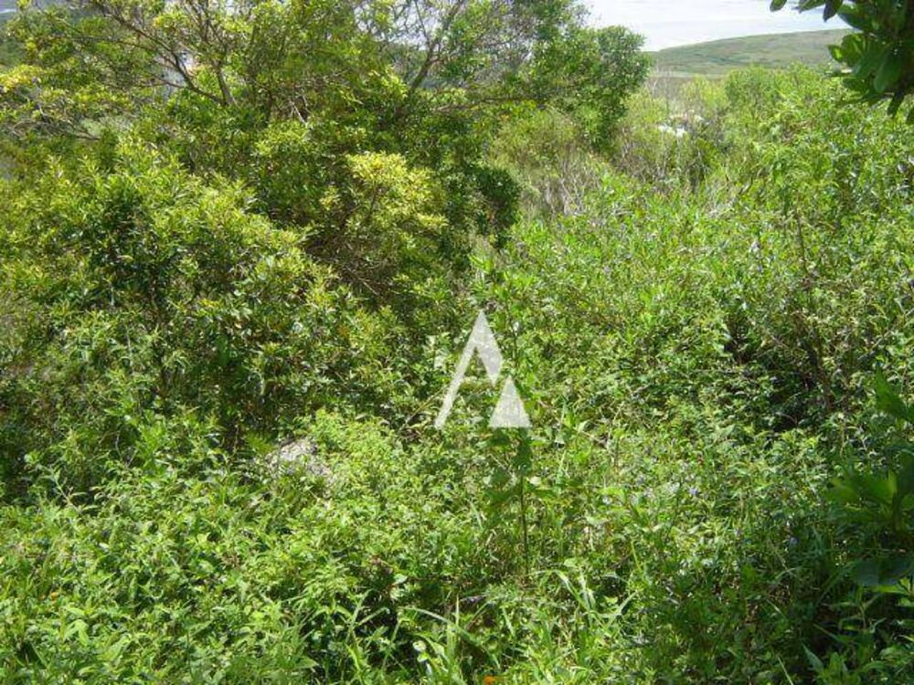 Loteamento e Condomínio, 2053 m² - Foto 3