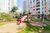 Apartamento, 3 quartos, 82 m² - Foto 4