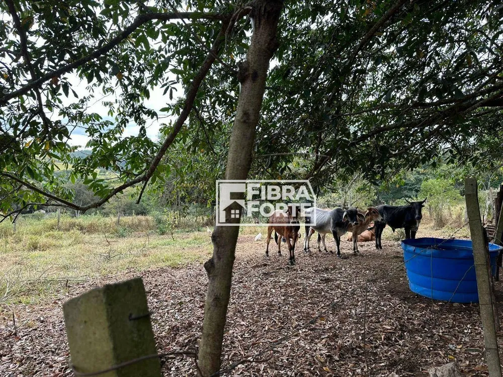 Chácara, 2 quartos, 2 hectares - Foto 4