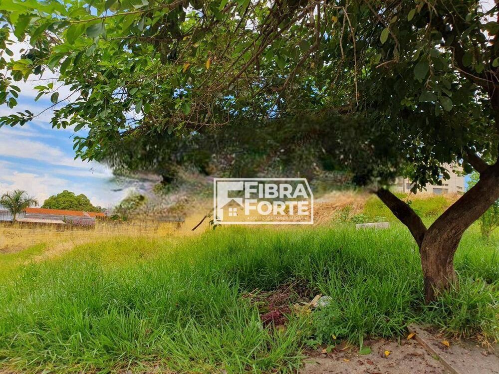 Terreno, 1041 m² - Foto 3