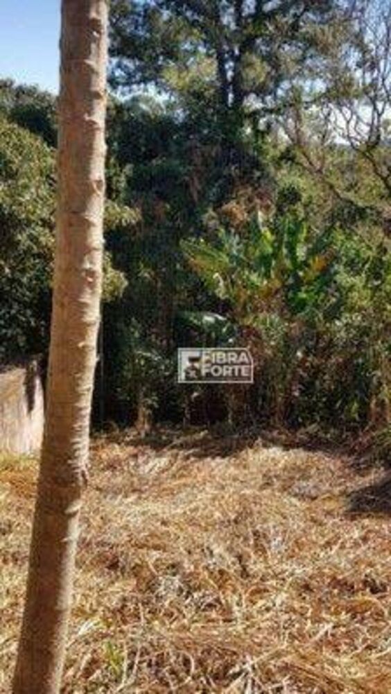 Loteamento e Condomínio, 319 m² - Foto 8