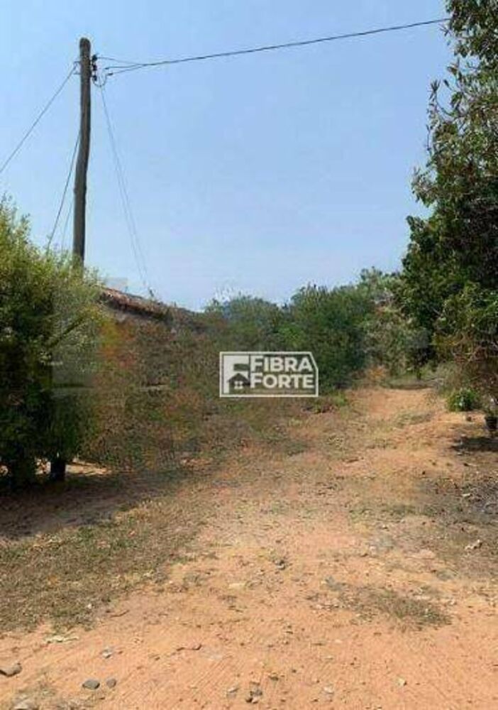 Depósito-Galpão, 5000 m² - Foto 7