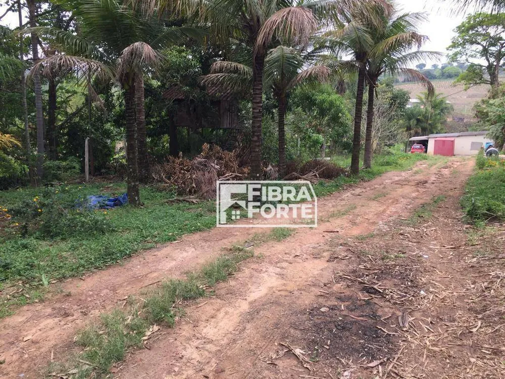 Chácara, 3 quartos, 5000 m² - Foto 3