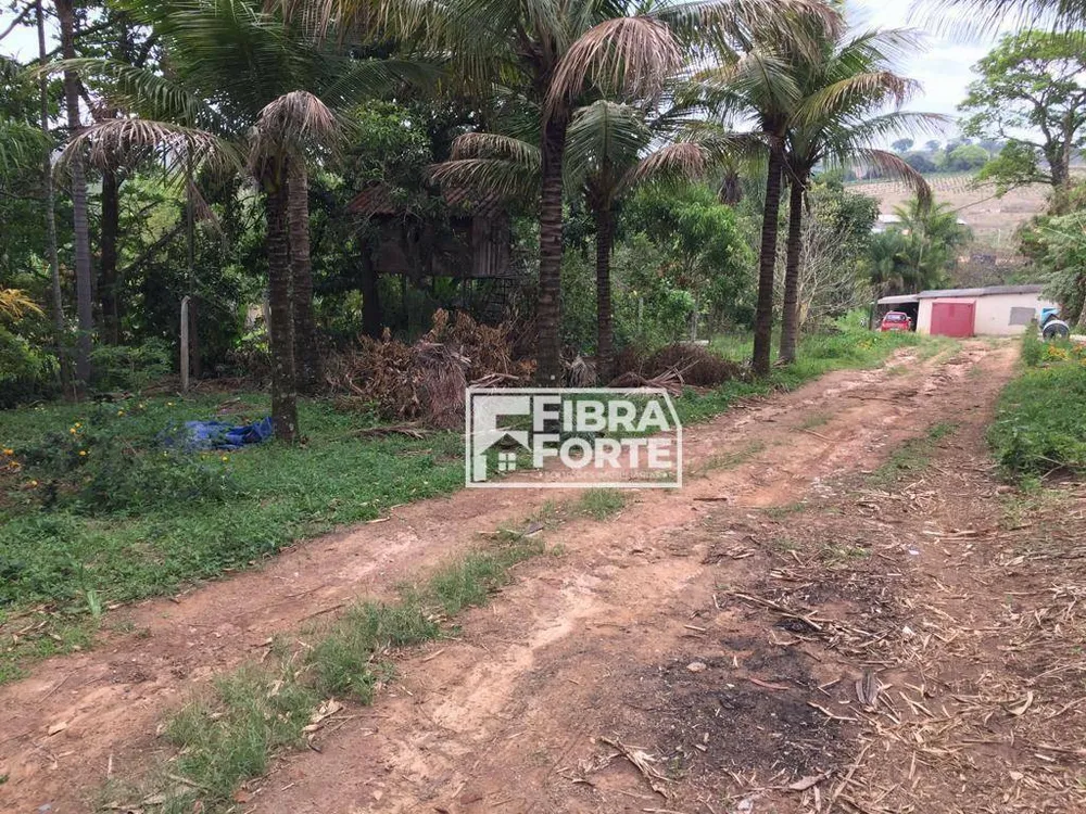 Chácara, 3 quartos, 5000 m² - Foto 4