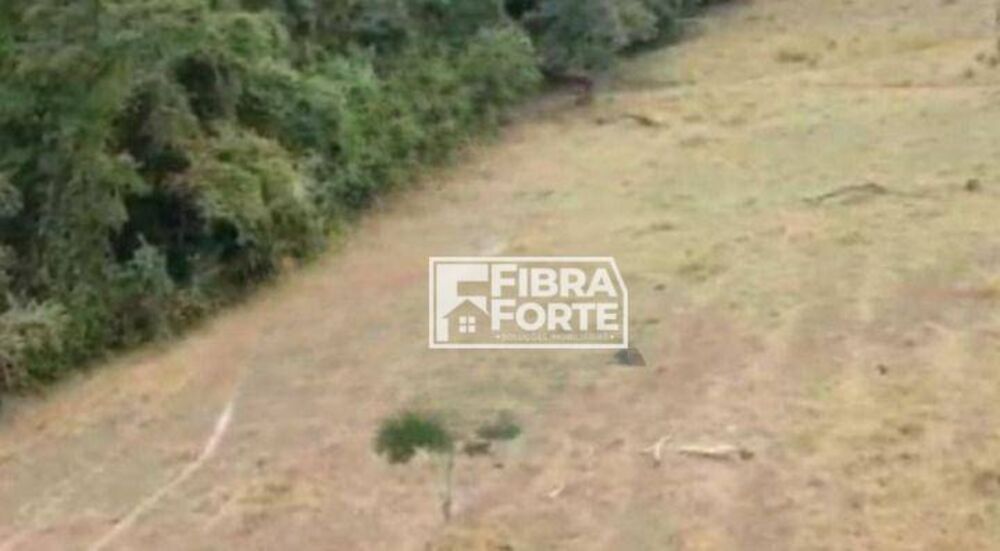 Terreno à venda, 24000M2 - Foto 5