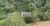 Terreno, 2 hectares - Foto 4