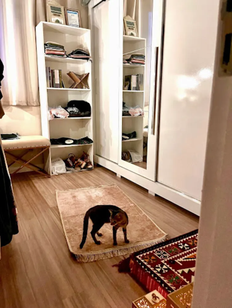 Apartamento, 3 quartos, 70 m² - Foto 6