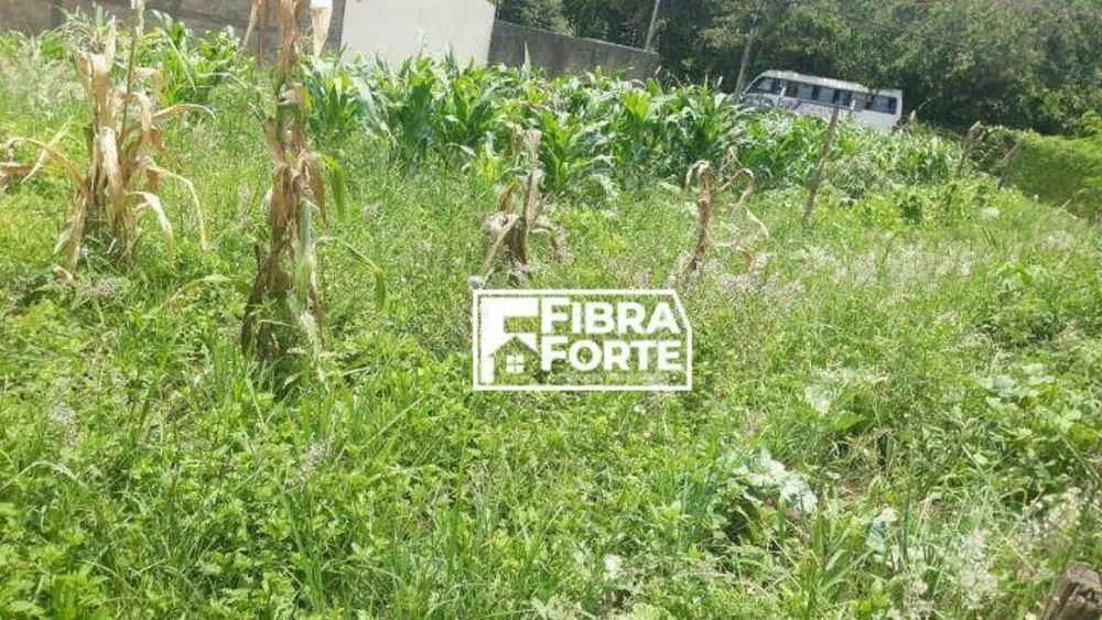 Terreno, 1000 m² - Foto 4