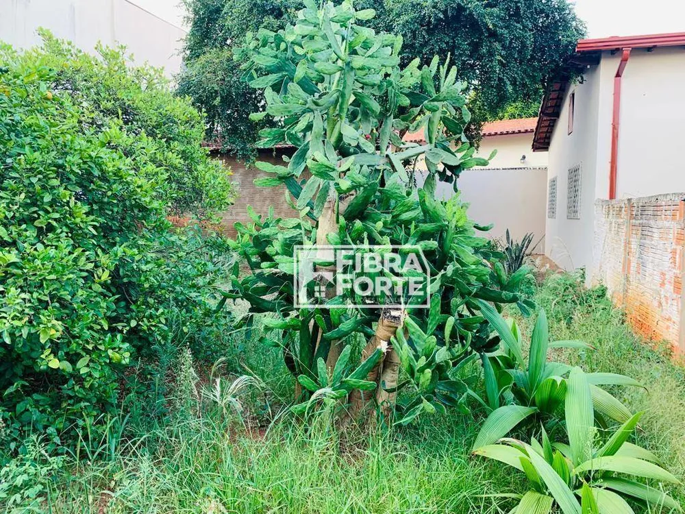 Casa, 3 quartos, 125 m² - Foto 6