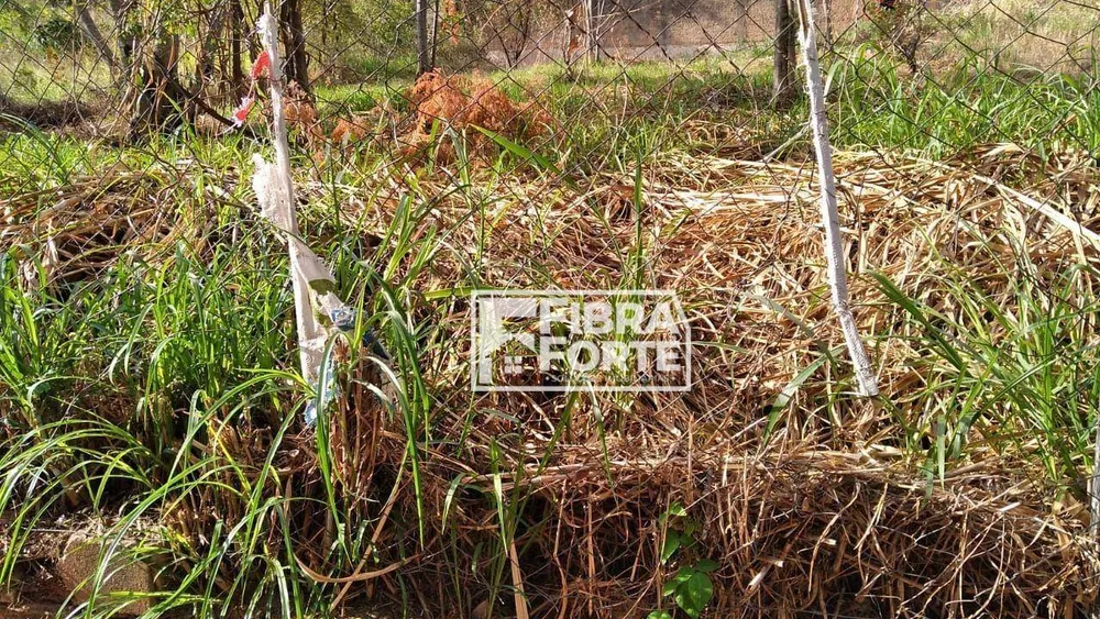 Terreno, 336 m² - Foto 3