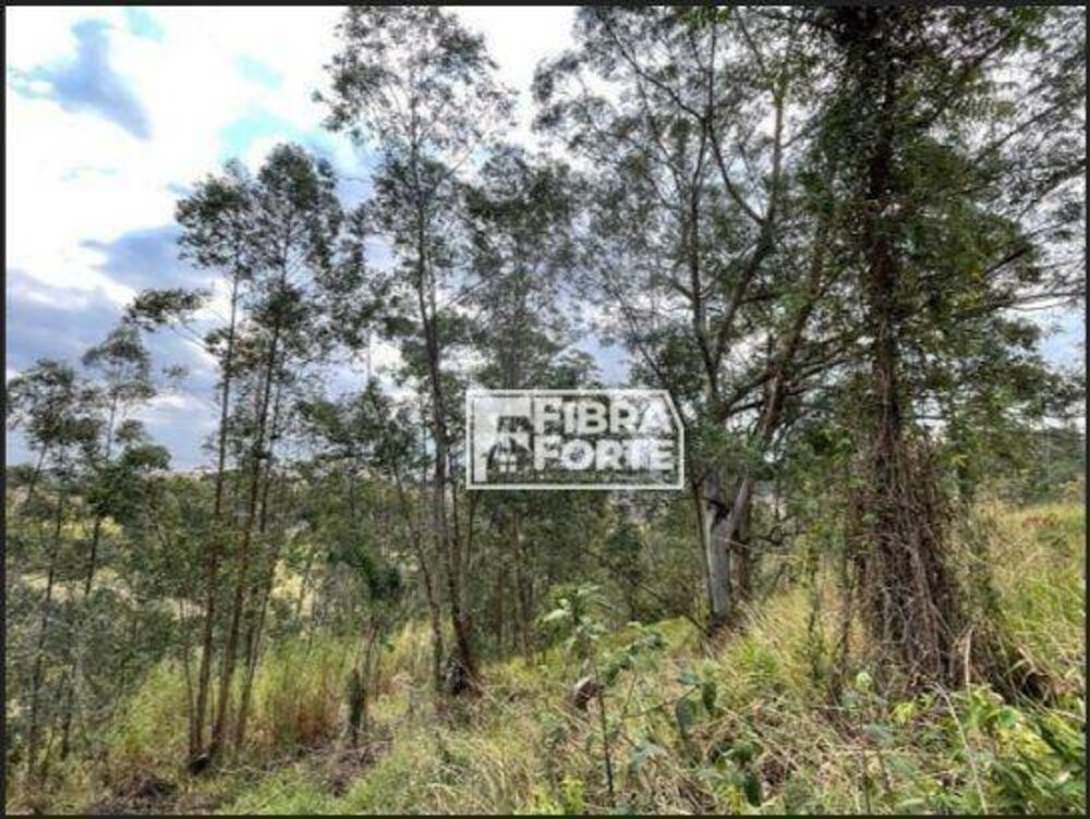 Loteamento e Condomínio, 2952 m² - Foto 2