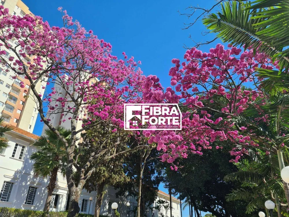 Apartamento, 3 quartos, 80 m² - Foto 1
