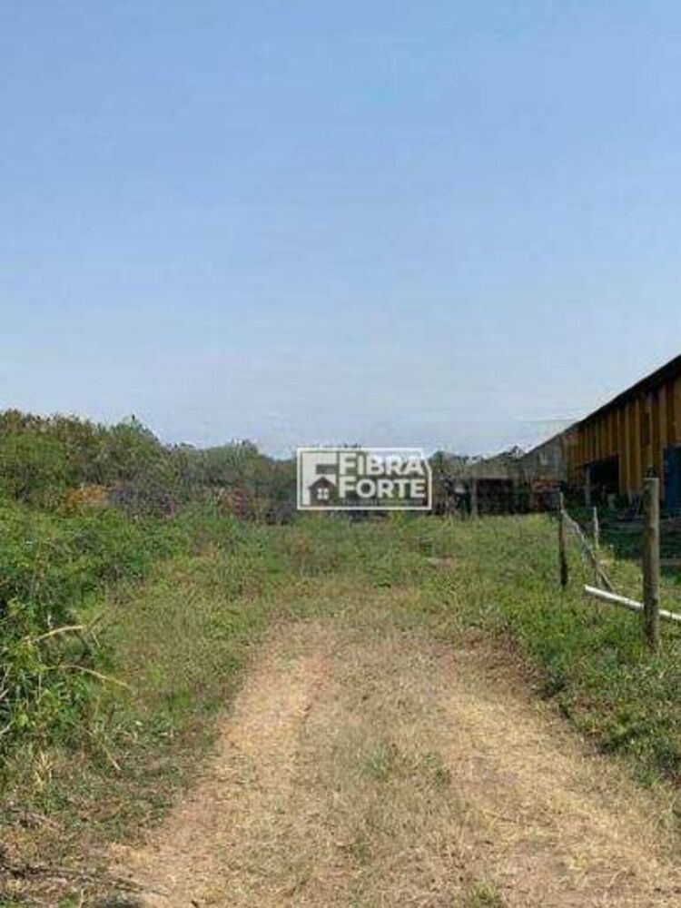 Depósito-Galpão, 5000 m² - Foto 3