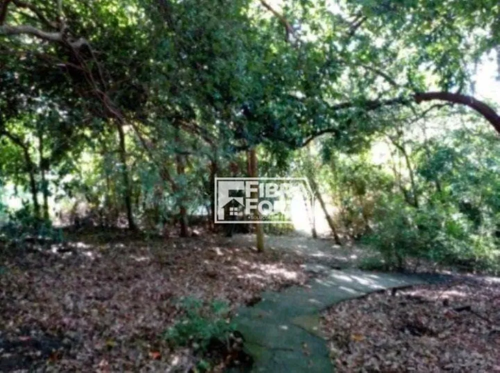 Chácara, 3 quartos, 5250 m² - Foto 16