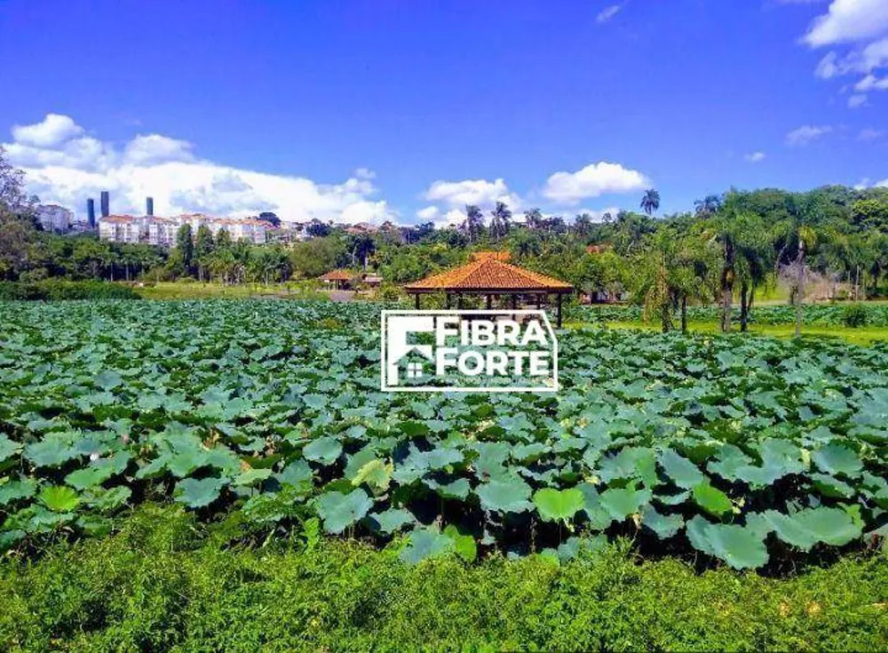 Terreno, 250 m² - Foto 4