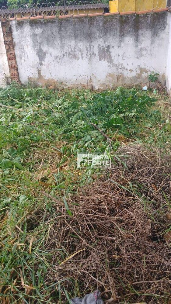 Terreno, 320 m² - Foto 4