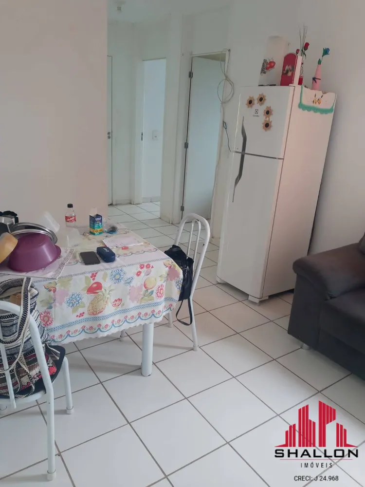 Apartamento - Foto 5