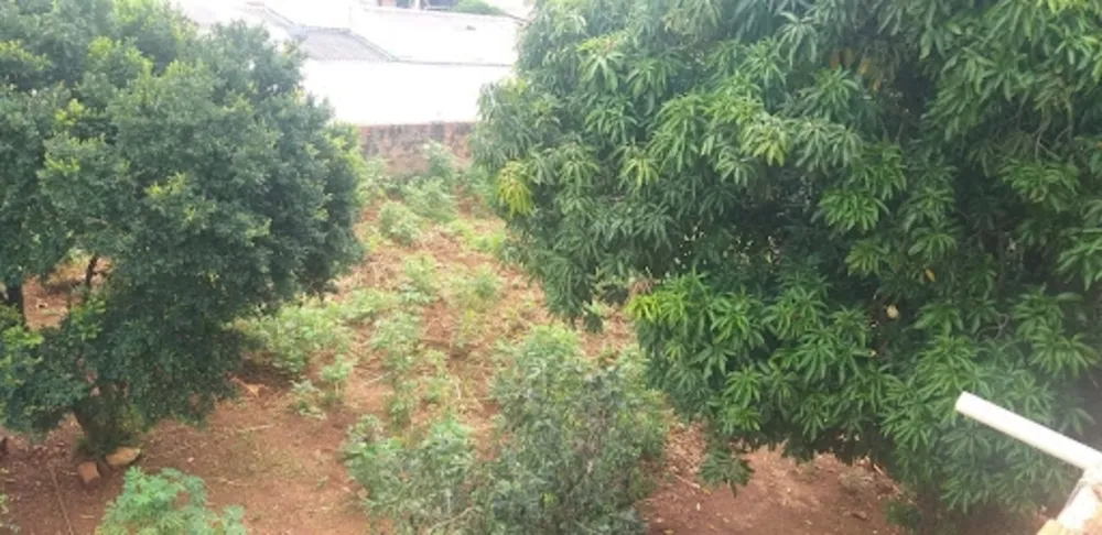 Terreno - Foto 4