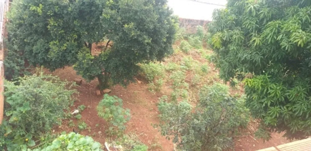 Terreno - Foto 2