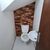 Casa de Condomínio, 2 quartos - Foto 2