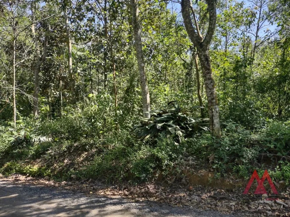 Terreno, 1216 m² - Foto 4