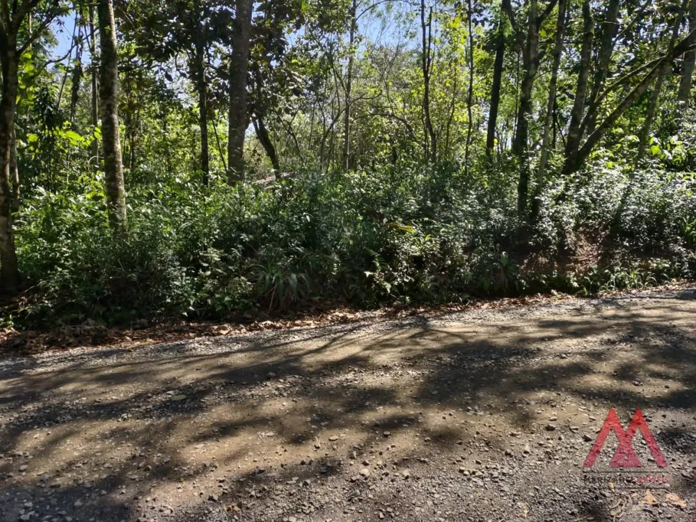 Terreno, 1216 m² - Foto 1