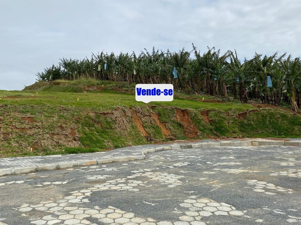Terreno à venda, 318m² - Foto 3