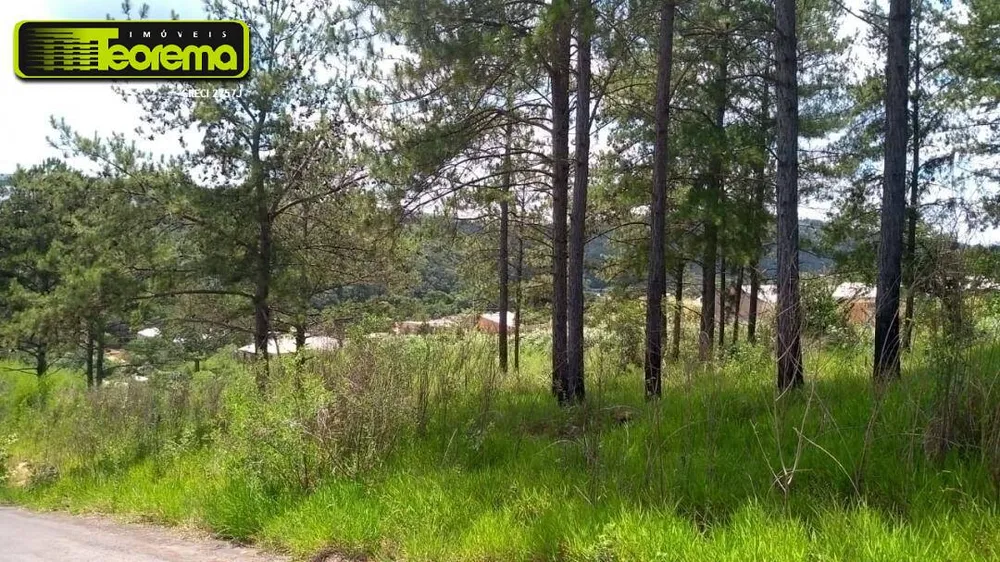 Terreno, 300 m² - Foto 2