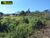 Terreno, 444 m² - Foto 6